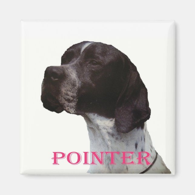 Pink pointer magnet (Front)