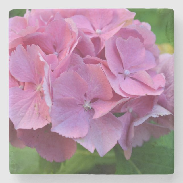 Pink Pompom Hydrangea Hortensia Flower Stone Coaster (Front)