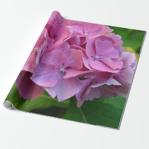 Pink Pompom Hydrangea Hortensia Flower Wrapping Paper