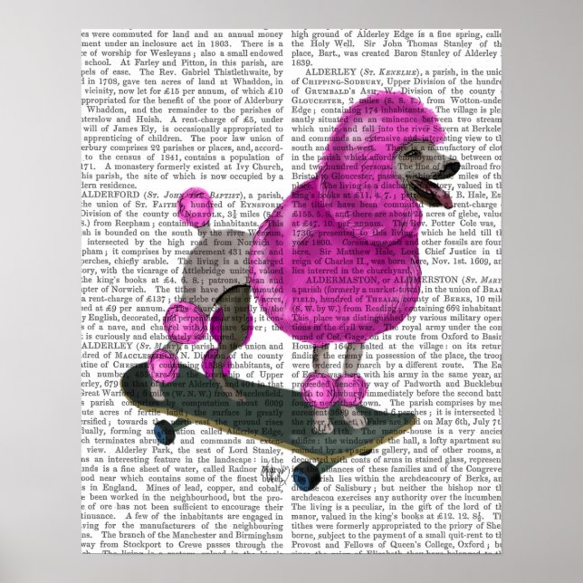 Pink Poodle and Skateboard Poster (Front)