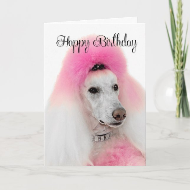 Pink Poodle Birthday Card (Front)
