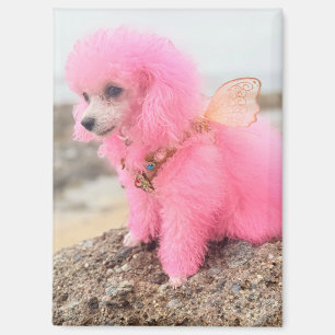 Pink poodle magnet