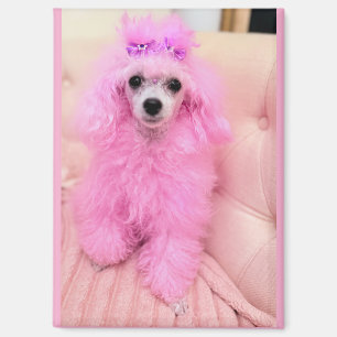Pink poodle magnet, pink poodle gift magnet