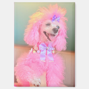 Pink poodle magnet, pink poodle gift magnet