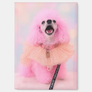 Pink poodle magnet, pink poodle gift magnet