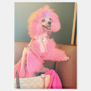 Pink poodle magnet, pink poodle gift magnet