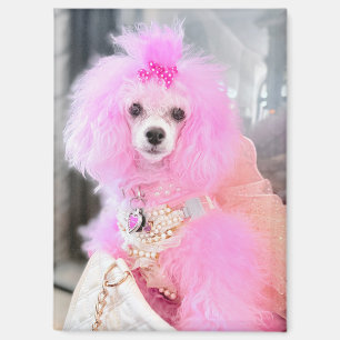 Pink poodle magnet, pink poodle gift magnet