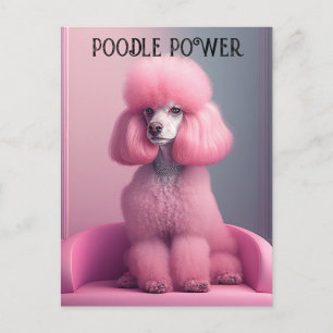 Pink poodle - poodle power Postcard