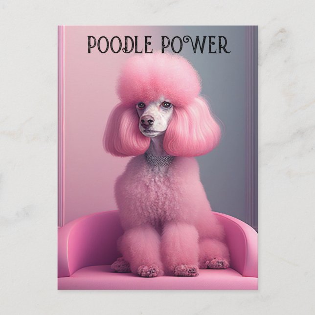 Pink poodle - poodle power Postcard (Front)
