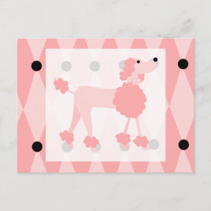 Pink Poodle Postcard