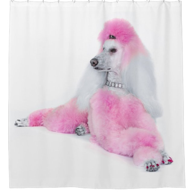 Pink Poodle Shower Curtain (Front)