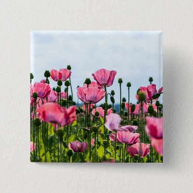 Pink Poppies 15 Cm Square Badge (Front)