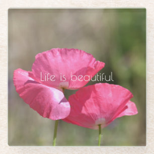 Pink Poppies   Glass Coaster