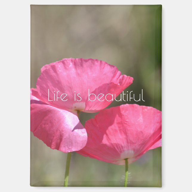 Pink Poppies   Magnet (Front)