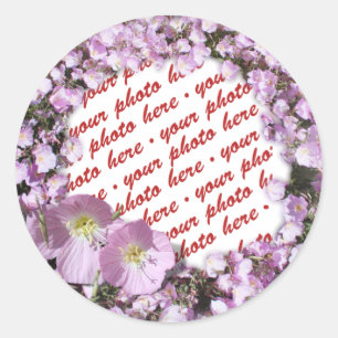 Pink Poppies Photo Frame Classic Round Sticker