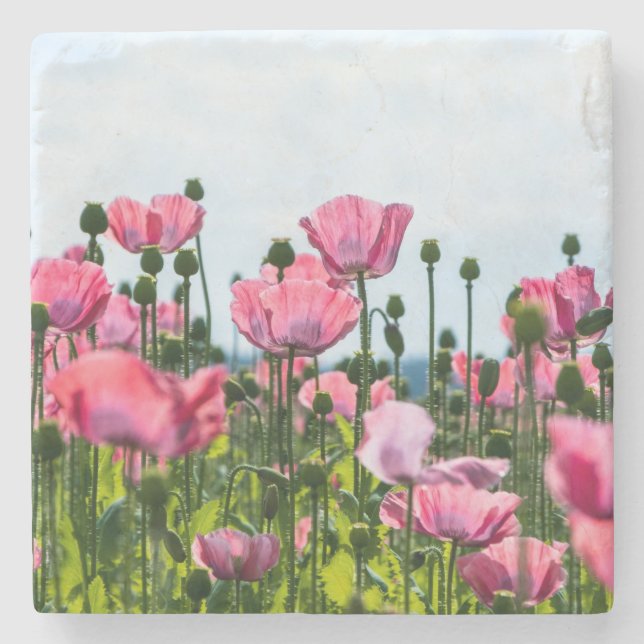 Pink Poppies Stone Coaster (Front)