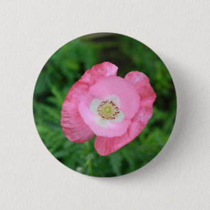 Pink Poppy 6 Cm Round Badge