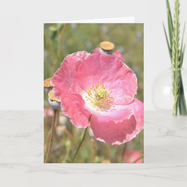 Pink Poppy and Fence Card (Front)