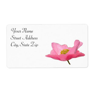 Pink Poppy Corner