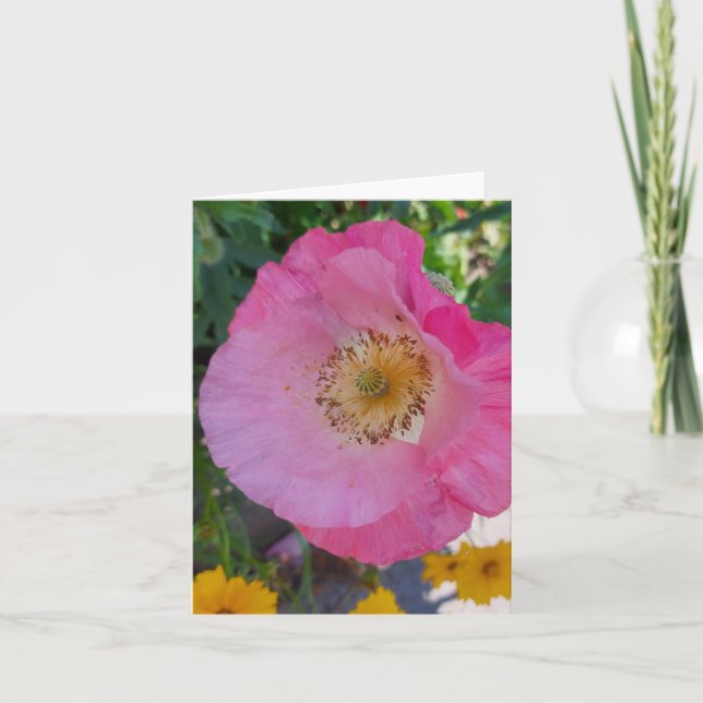 Pink Poppy Flower in the Summer  Card (Front)