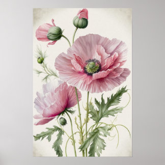 Pink Poppy Flowers Art Print Poster