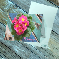 Pink Primroses Teal and Turquoise Rustic Note