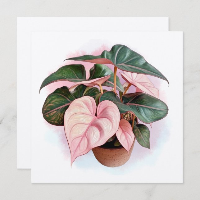 Pink Princess Philodendron Illustration (Front/Back)