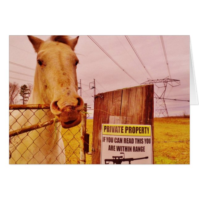 Pink Private Property Horse (Front Horizontal)