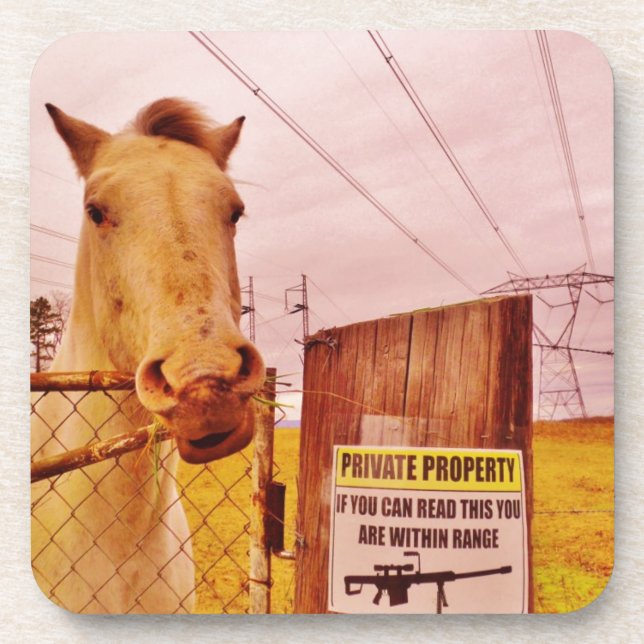 Pink Private Property Horse Coaster (Front)