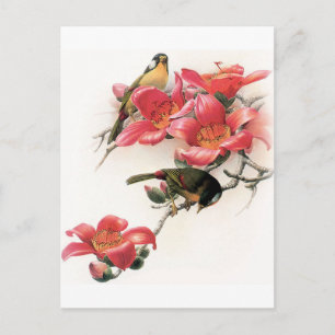 Pink Profusion Postcard