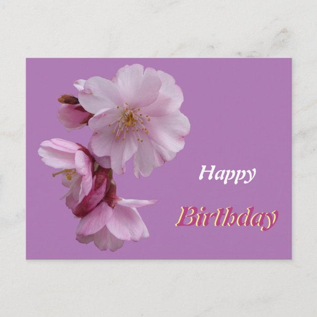 Pink Prunus Flowers Happy Birthday Postcard (Front)