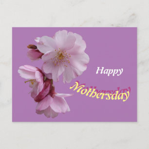 Pink Prunus Flowers Happy Birthday Postcard