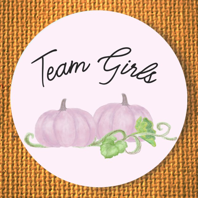 Pink pumpkin twin gender reveal Team Girl  Classic Round Sticker (Creator Uploaded)
