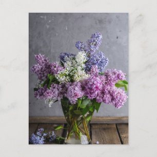 Pink, Purple, and White Lilacs Photo Postcard