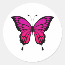 Pink & purple butterfly