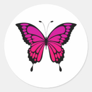 Pink & purple butterfly  classic round sticker
