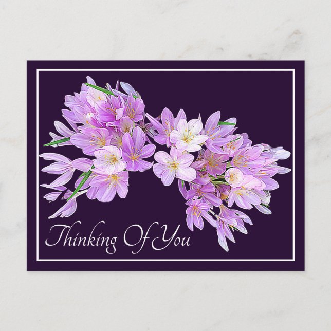 Pink/Purple Crocus Purple Backdrop Thinking Of You Postcard (Front)