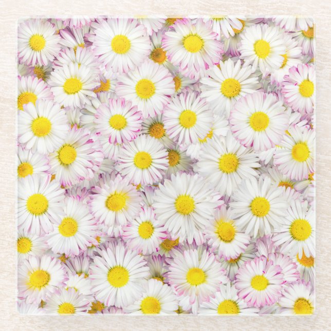 Pink Purple Daisy Flower Pattern Glass Coaster (Front)