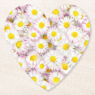 Pink Purple Daisy Flower Pattern Paper Coaster