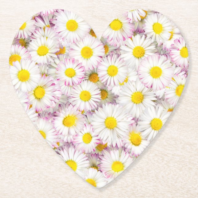 Pink Purple Daisy Flower Pattern Paper Coaster (Front)