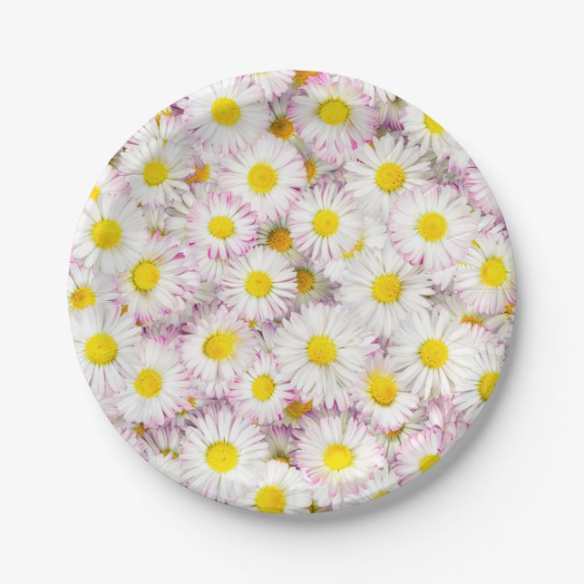 Pink Purple Daisy Flower Pattern Paper Plate (Front)