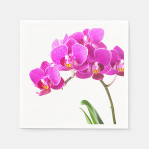 Pink Purple Dendrobium Orchid Tropical Flower Napkin