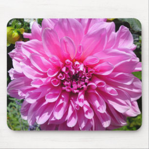Pink Purple Dhalia Flower Mousepad