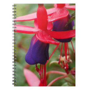 Pink Purple Flowers Photo Notebook