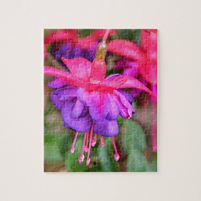 Pink & purple Fuchsia flowers in bloom Jigsaw Puzzle (Vertical)