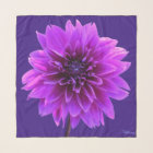 Pink Purple Indigo Dahlia Square Chiffon Scarf