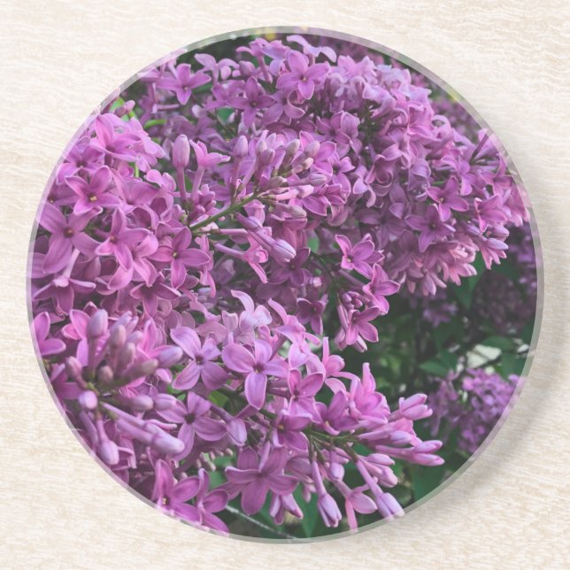 Pink purple lilacs | romantic pink floral photo coaster (Front)