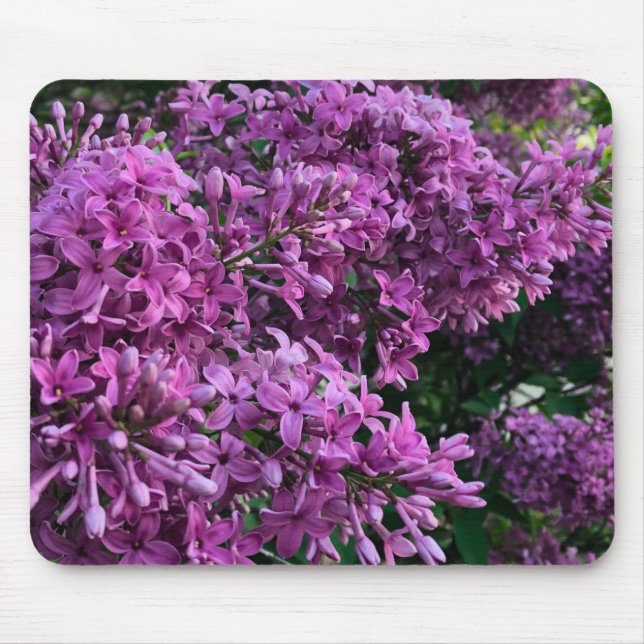 Pink purple lilacs | romantic pink floral photo mouse pad (Front)