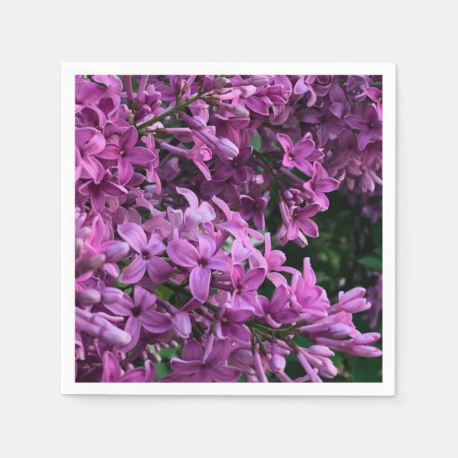 Pink purple lilacs | romantic pink floral photo napkin (Front)