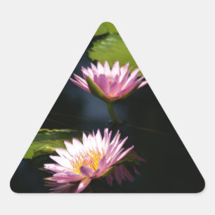 Pink Purple Lotus Waterlilies Triangle Sticker